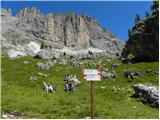 Passo Sella - Sassopiatto / Plattkofel